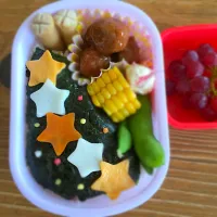 Snapdishの料理写真:5才＊七夕弁当|りょうこさん