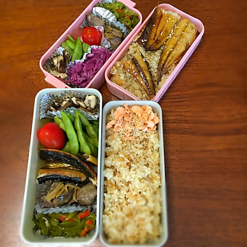 Snapdishの料理写真:7/7 お弁当|もっちさん