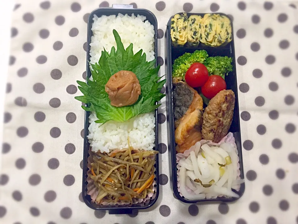 ハンバーグ弁当。|ももみにゃん。さん