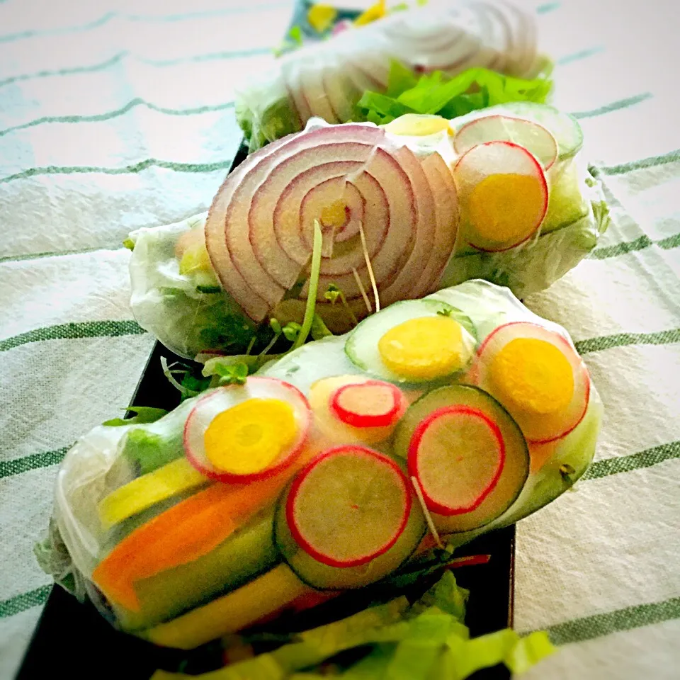 Snapdishの料理写真:Summer veggie rolls 10種類の野菜生春巻きサラダ|mayumiさん