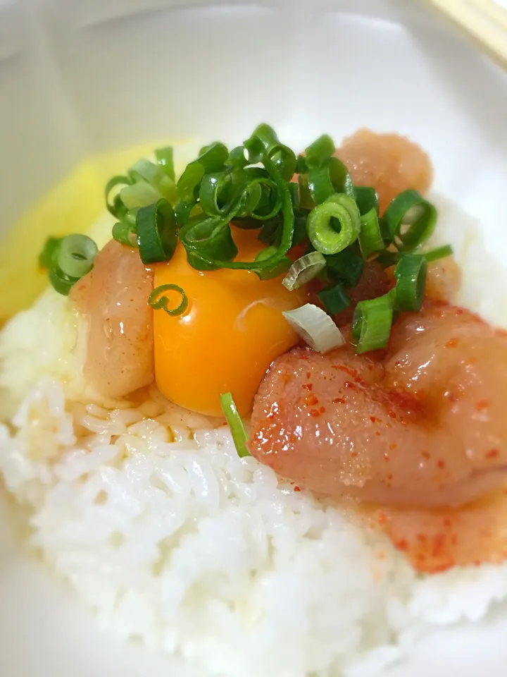 明太子の卵かけ御飯|かるかるさん