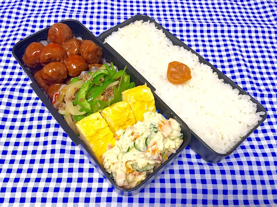 Snapdishの料理写真:☆本日のパパ弁当☆|scandimikanさん