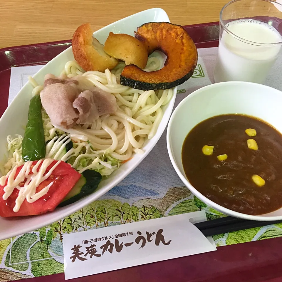 Snapdishの料理写真:美瑛カレーうどん@道の駅丘のくら|カウンター嬢さん