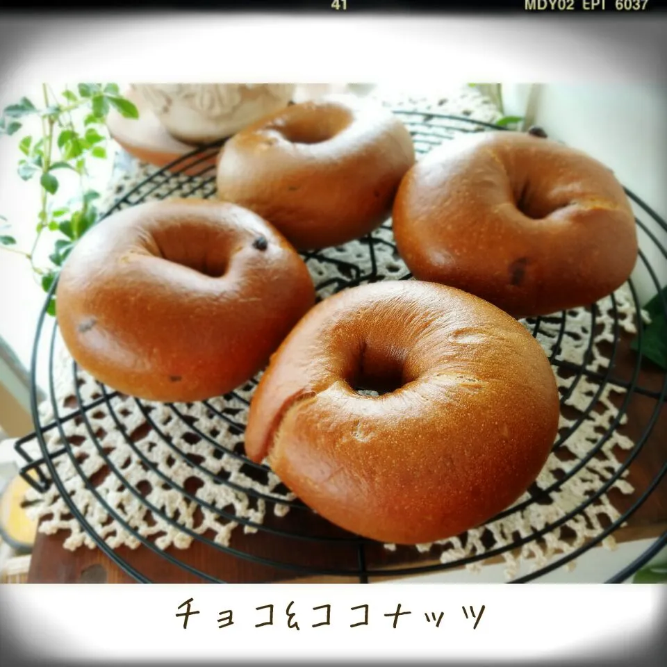 チョコ&ココナッツBAGEL|K-holicさん