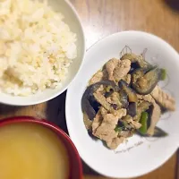 ナスとピーマンと豚肉の胡麻味噌炒め|るーさん