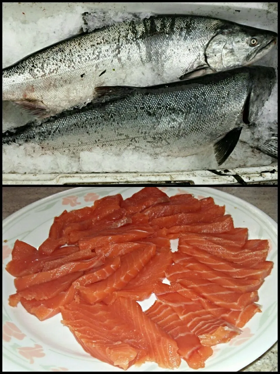 wild king salmon|steven z.y.さん