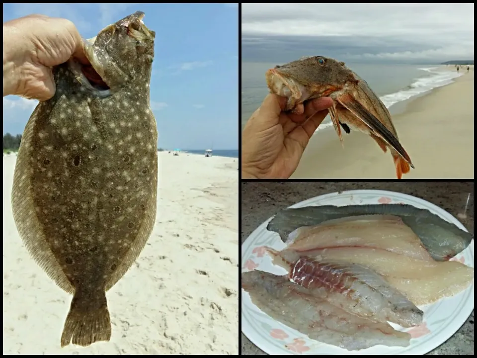 fluke and Sea Robin fillet|steven z.y.さん