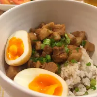 Snapdishの料理写真:カルディに素が売ってたので作ってみた魯肉飯。味や香りがかなり台湾ぽい。|liccaさん