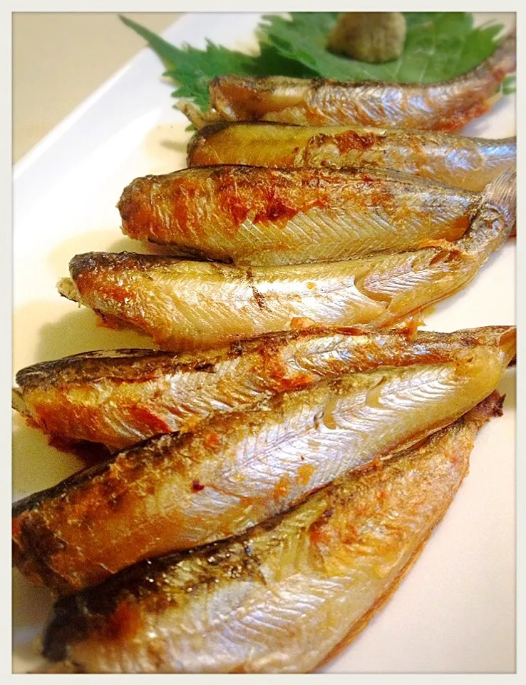 ハタハタ一夜干し。Grilled Sandfish, salted and dried overnight|toyamadaさん