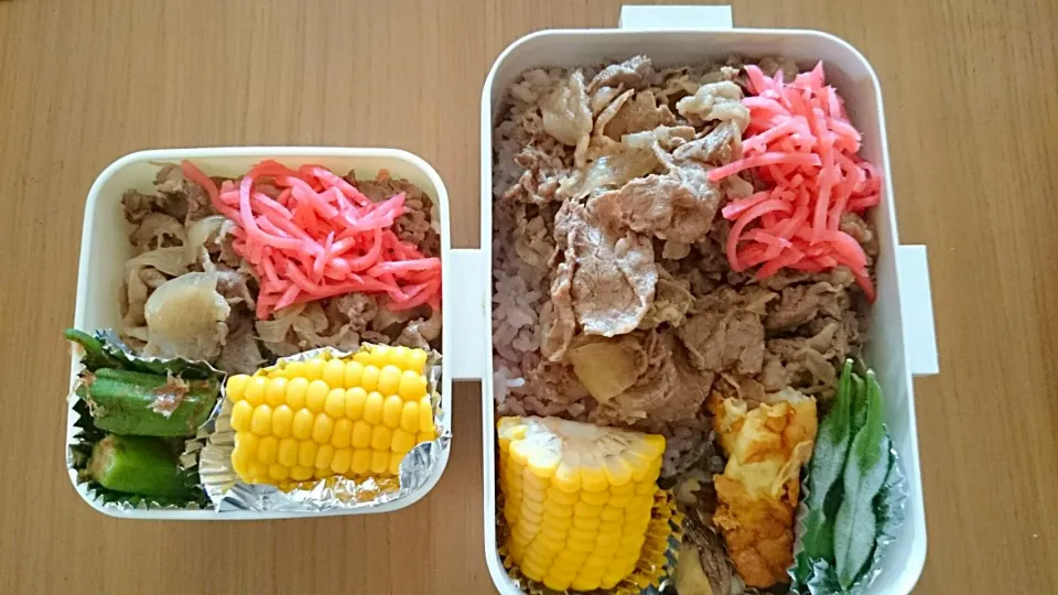 Snapdishの料理写真:16*7*11  JD⭐DK弁当|hilocoさん