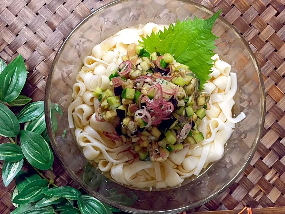 Snapdishの料理写真:氷見うどんのふし麺で、だし乗っけ冷やしうどん|あいさん