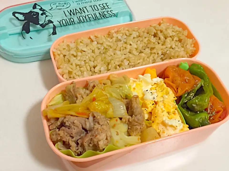 7/13のお弁当|しおり。さん