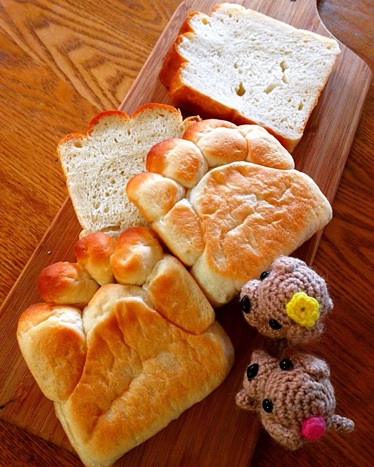 Snapdishの料理写真:湯だねで時短の山食で肉球パン😂|nononkoさん