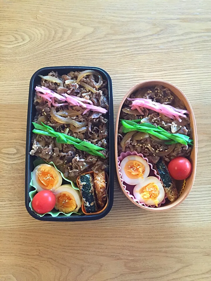 牛丼＊親子弁当♪|hiromiさん