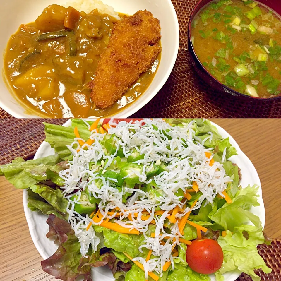 夏野菜カレーにチーズカツをトッピング。ジャコとオクラのサラダで、パワーブレックファースト。|TonyYamadaさん