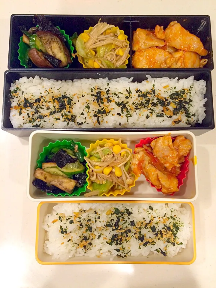 Snapdishの料理写真:本日のお弁当|satchさん