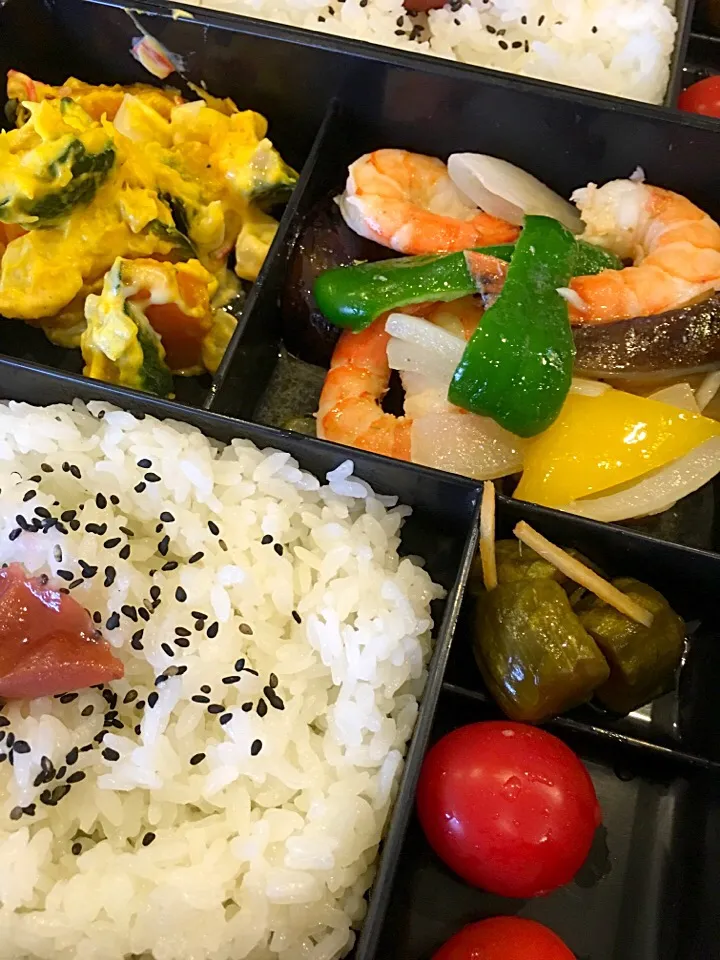 今日の社食弁当|大久保 掬恵さん