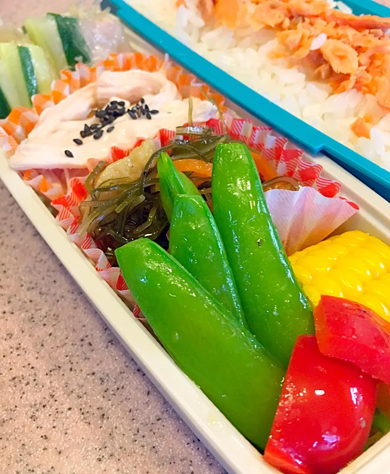 今日の息子弁当は生春巻き入り〜（≧∇≦）|Seikoさん