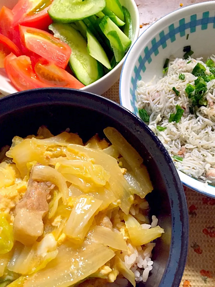 豚味噌丼 しらす サラダ|掛谷節子さん