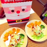 ♡Xmas♡Verわんちゃんご飯|こぶぶさん