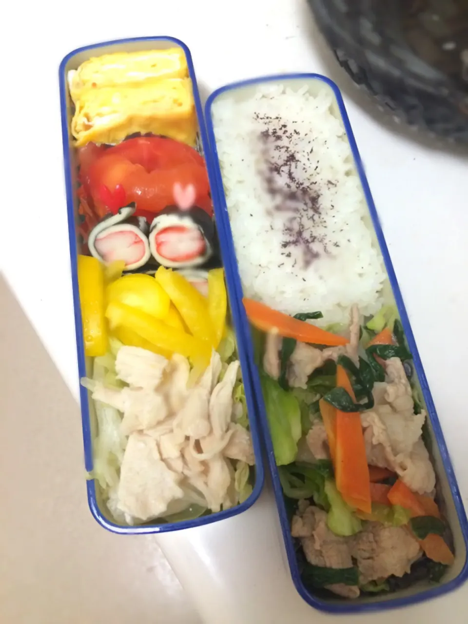 ダイエット弁当|アサヒカリさん