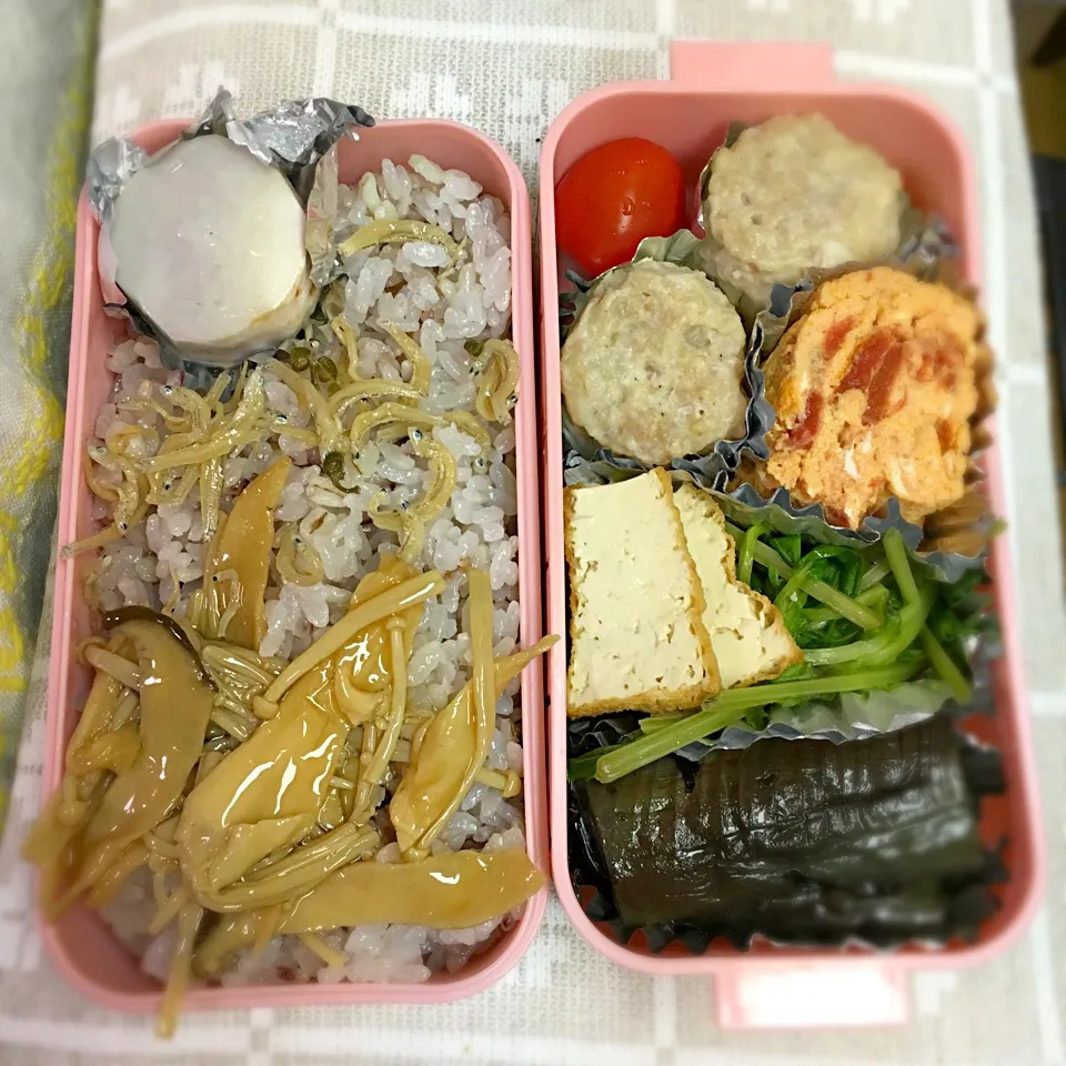 Snapdishの料理写真:7/15 お弁当|もっちさん