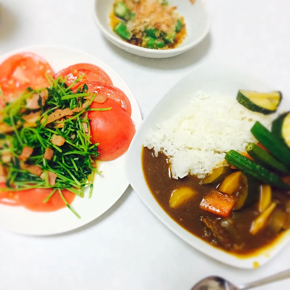 初投稿(*ˊ˘ˋ*)♪
前に作ってたやつのせよー
✱ズッキーニたっぷり夏野菜カレーオクラのせ
✱豆苗とベーコン炒めのトマトサラダ
✱オクラのおひたし|みにゃんさん