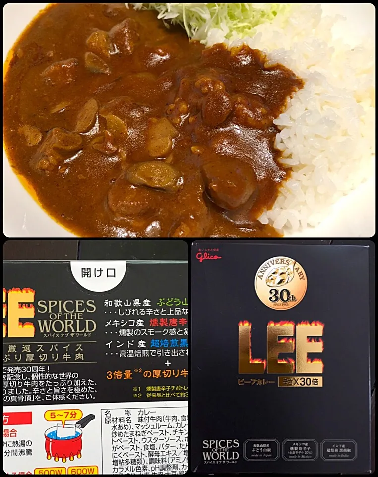 グリコ LEE 30周年スパイスオブザワールド|りえさん