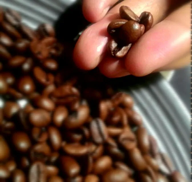 Rantjakalong Coffe Bean Indonesia|Syarief Kamalさん