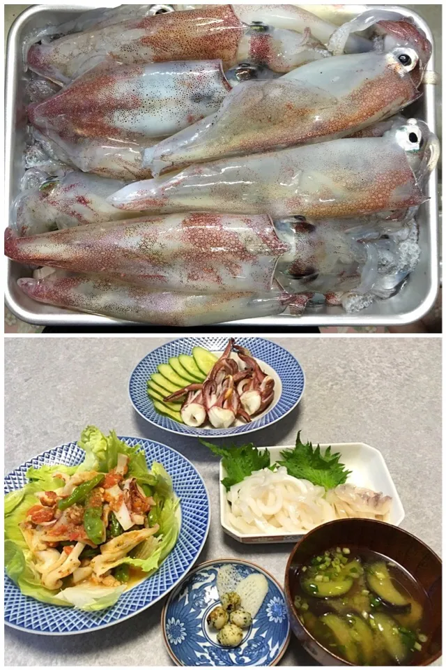 Snapdishの料理写真:ケンサキイカが釣れたので|Orie Uekiさん