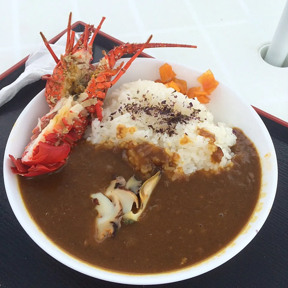 Snapdishの料理写真:まるグル’16in南房総 海女カレーフェスタ 
石田シェフ直伝さざえカレー|qtyucoさん