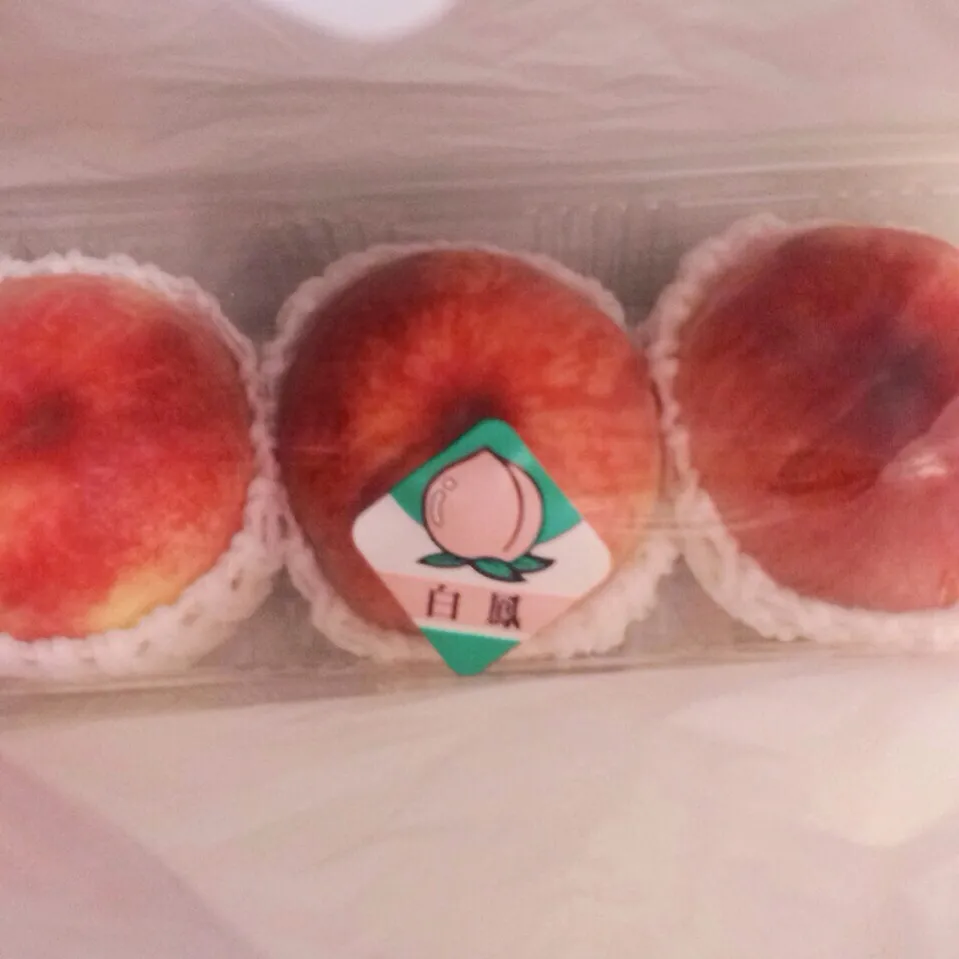 桃|草加 さゆりさん