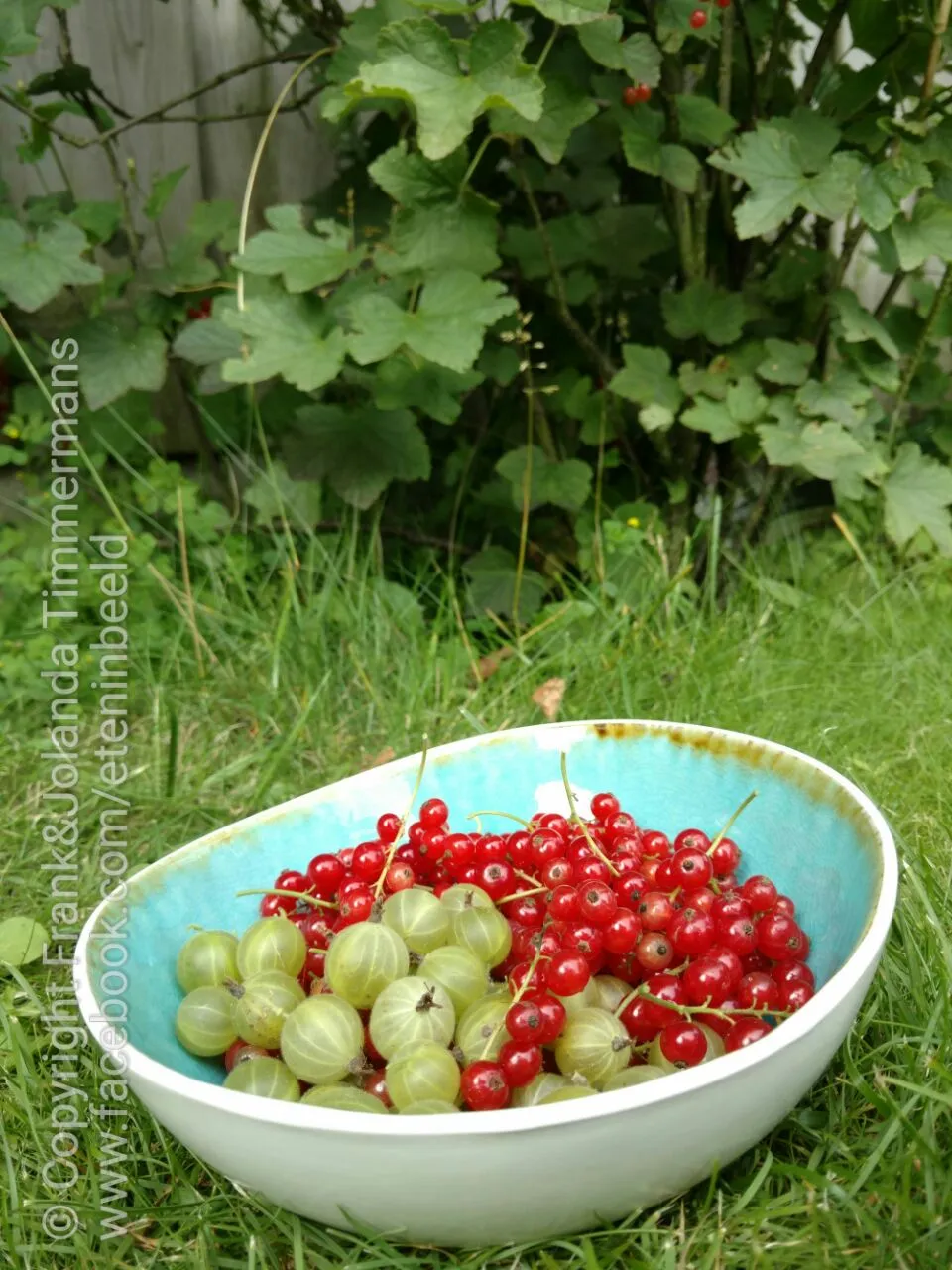 From our garden|Frank&Jolanda - Eteninbeeldさん