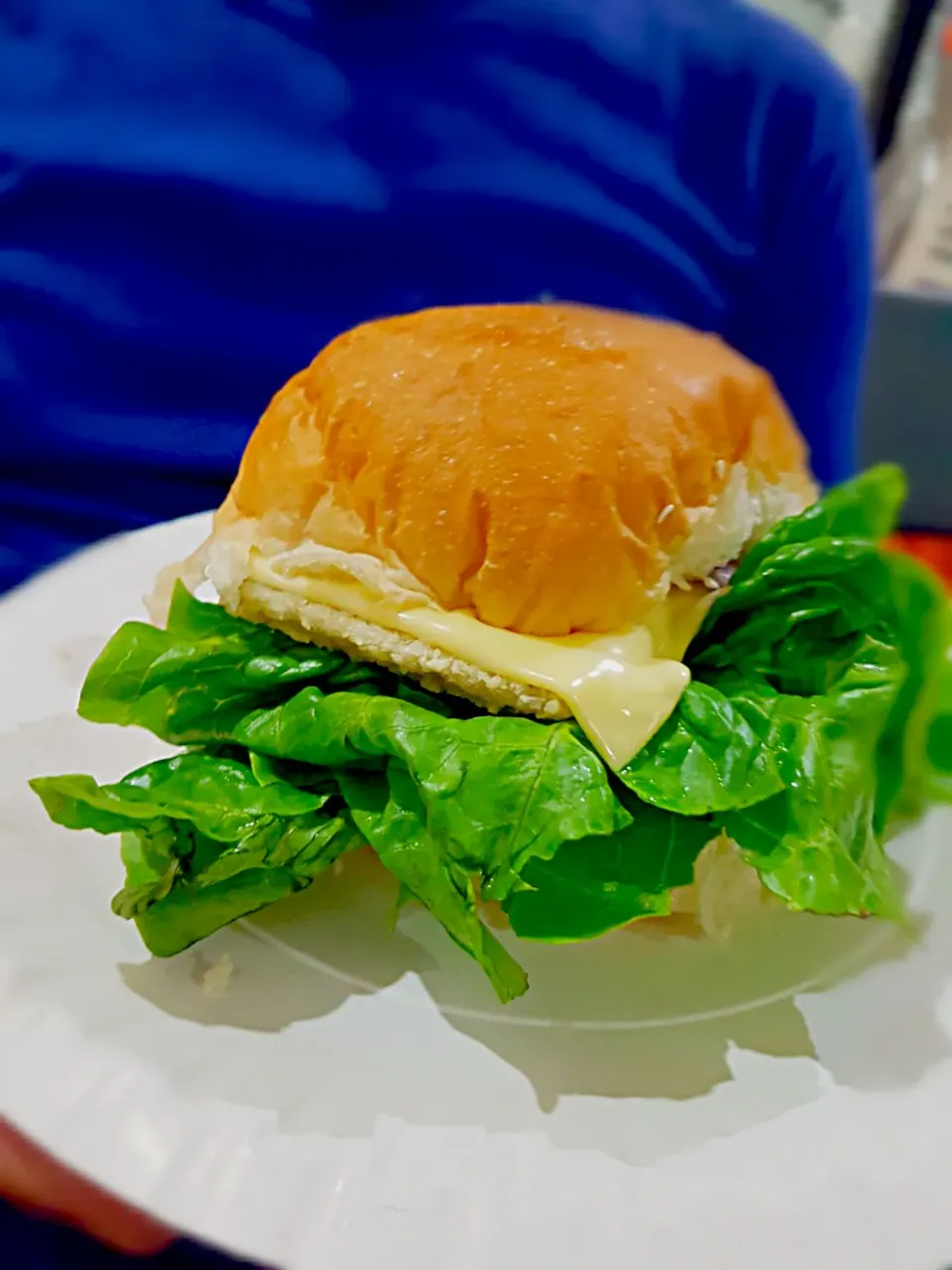 Home-made Fish burger|yingchiさん