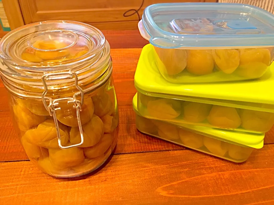 初挑戦！はちみつ梅|ゆうさんさん