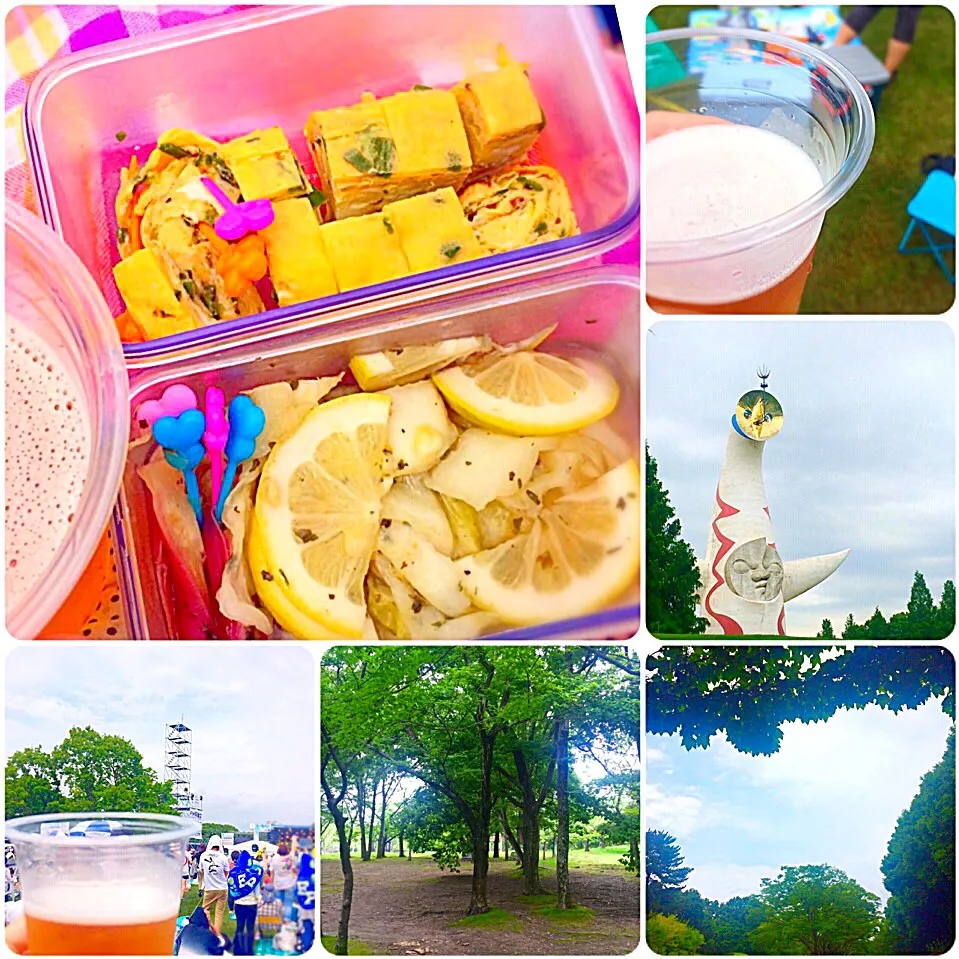 夏のピクニック／Summer Picnic ♬|angiee♡さん