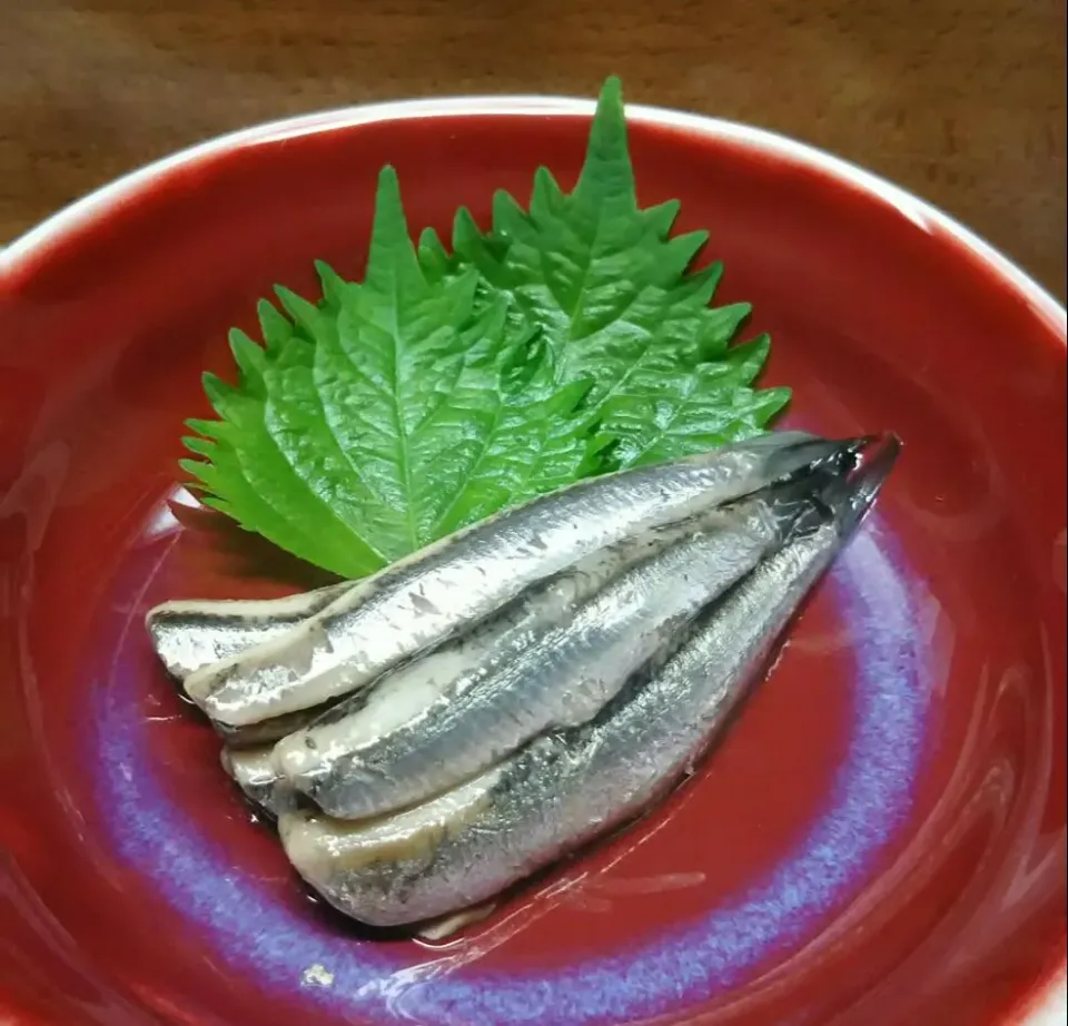 小鰯の酢〆😻|あらいぐまのしっぽさん