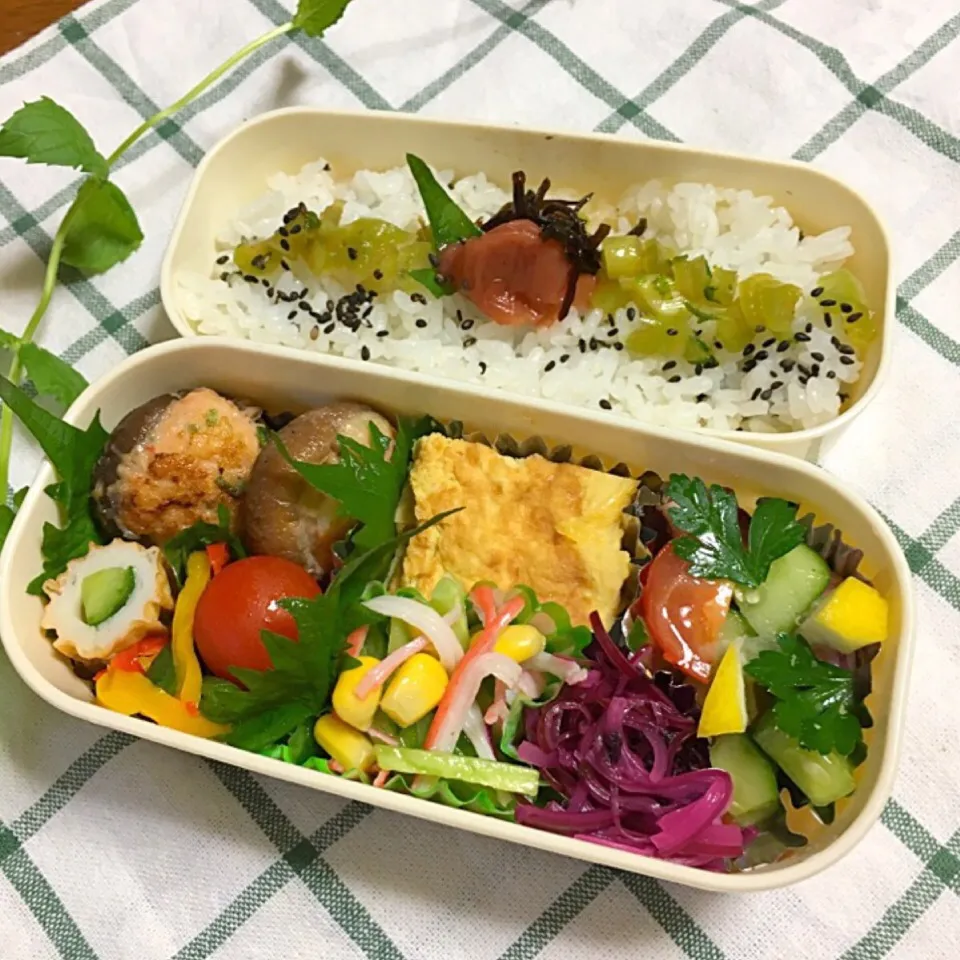 今日のお弁当|Mikaさん