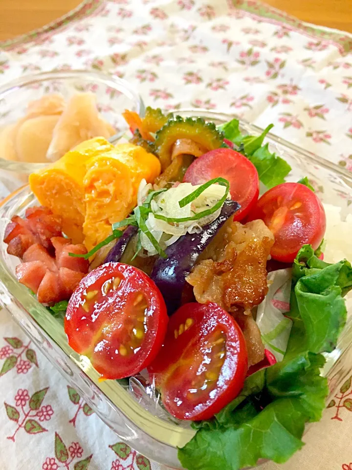 今日のお弁当
✨なすと豚肉のニンニク醤油スタミナ炒め✨ゴーヤのケチャップ煮✨卵焼き✨ウインナー✨プチトマト|aquapine.38さん