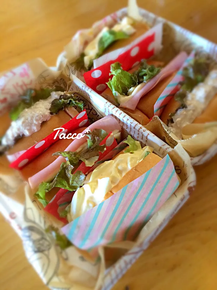 Today's Lunch☆7/19|tacco*さん