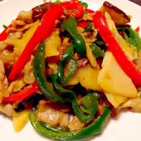 具沢山 青椒肉絲もどき