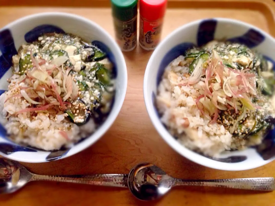 Snapdishの料理写真:冷凍しといた先日の鯛飯で『冷汁のぶっかけ丼』🌻|こなちゅんさん