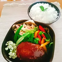 高２息子のお弁当|salalaさん