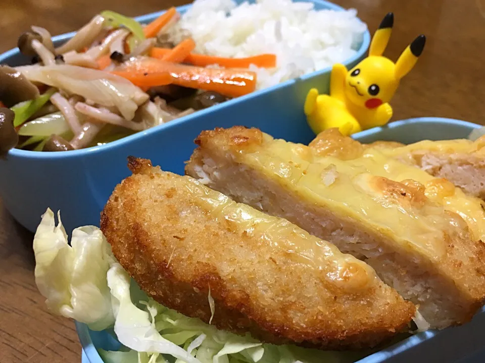 Snapdishの料理写真:チキンチーズ&いかときのこのナムル弁当|もっつぁさん