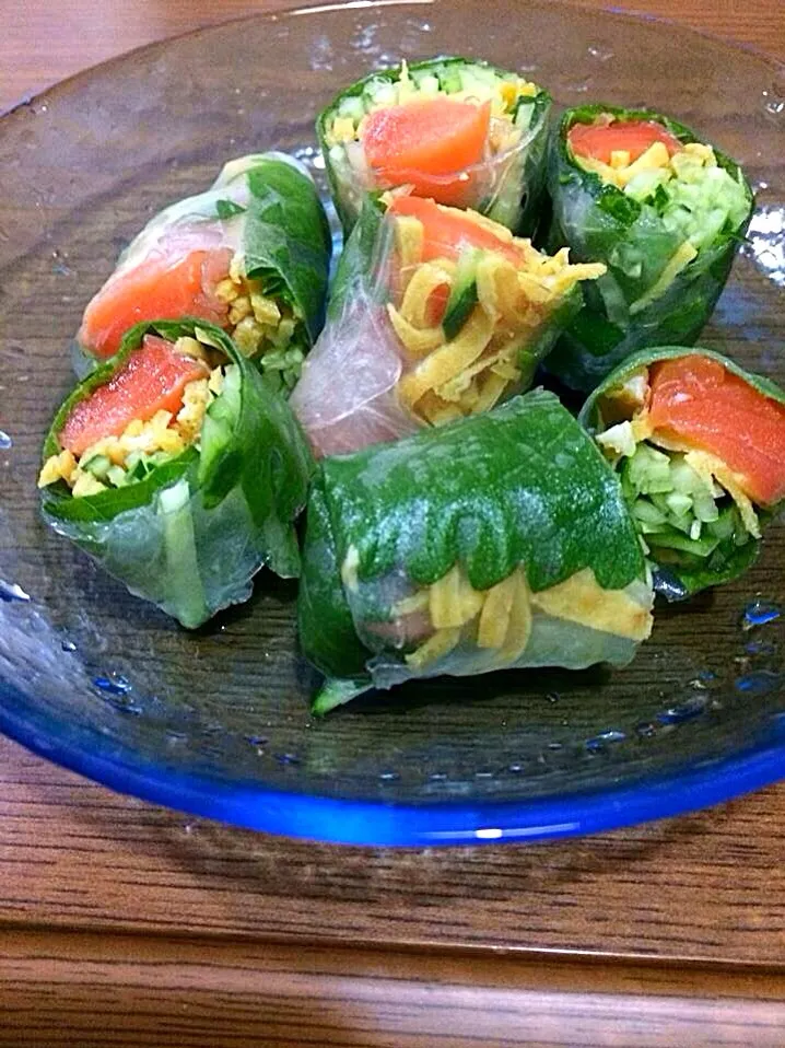 サーモンの生春巻き🌿🌿 🌿                     きゅうり. 錦糸卵.大葉で✨✨|🌿ぴぴさん