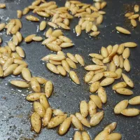 Golden Honeydew Seeds with Creole Seasoning and Sea Salt about to go in for roasting.|Thebluestbutterflyさん