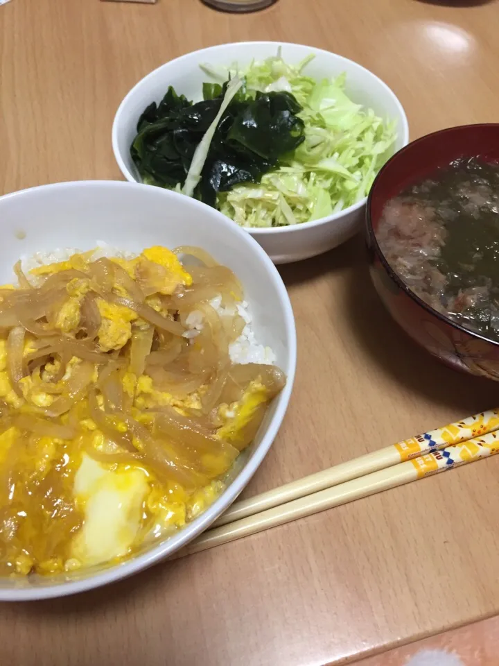 2016.07.20 玉子丼とサラダ|しおりさん