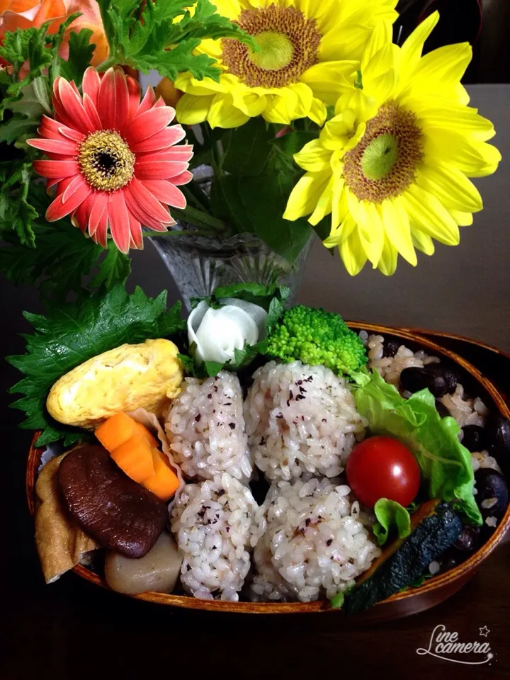 食欲が落ちた時はこれ‼️
ゆかり風味のもち米肉団子
今日の私のお弁当🎵|とんちんさん