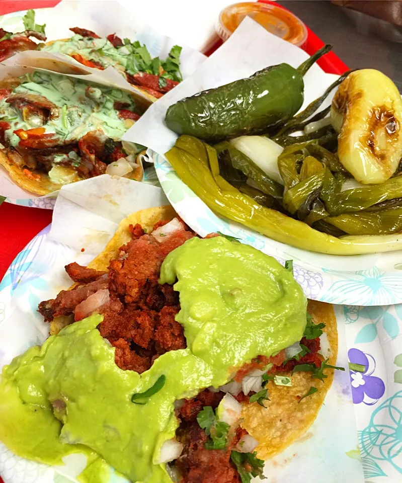 Chorizo And Adobada Tacos|mamaeriさん