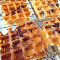 Snapdishの料理写真:ブルーベリーワッフル(o^^o)
作りました〜
#blueberrywaffles #ブルーベリーワッフル #朝食用|Keibiさん